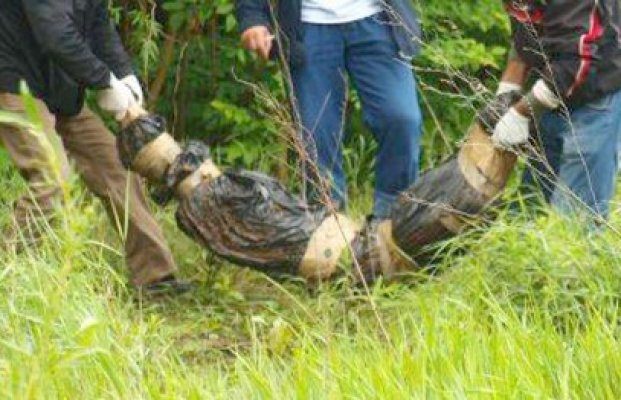 Cadavru găsit de un cioban într-o cultură de viţă de vie dezafectată